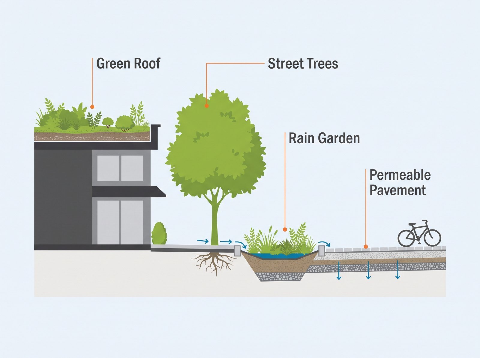 Cross-section illustration of a green street with a green roof, street trees, a rain garden collecting runoff, and permeable pavement letting rainwater soak into the ground.